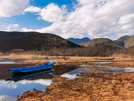 Winning Casino App Mobile